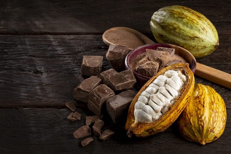 cocoa pod, broken open, and chocolate on a table