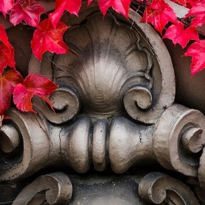 Red and fall-colored leaves of climbing ivy wrap around an ornate architectural detail on the exterior of a UW campus building