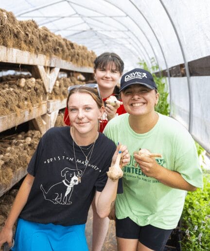 Three students in a greenhouse, smiling