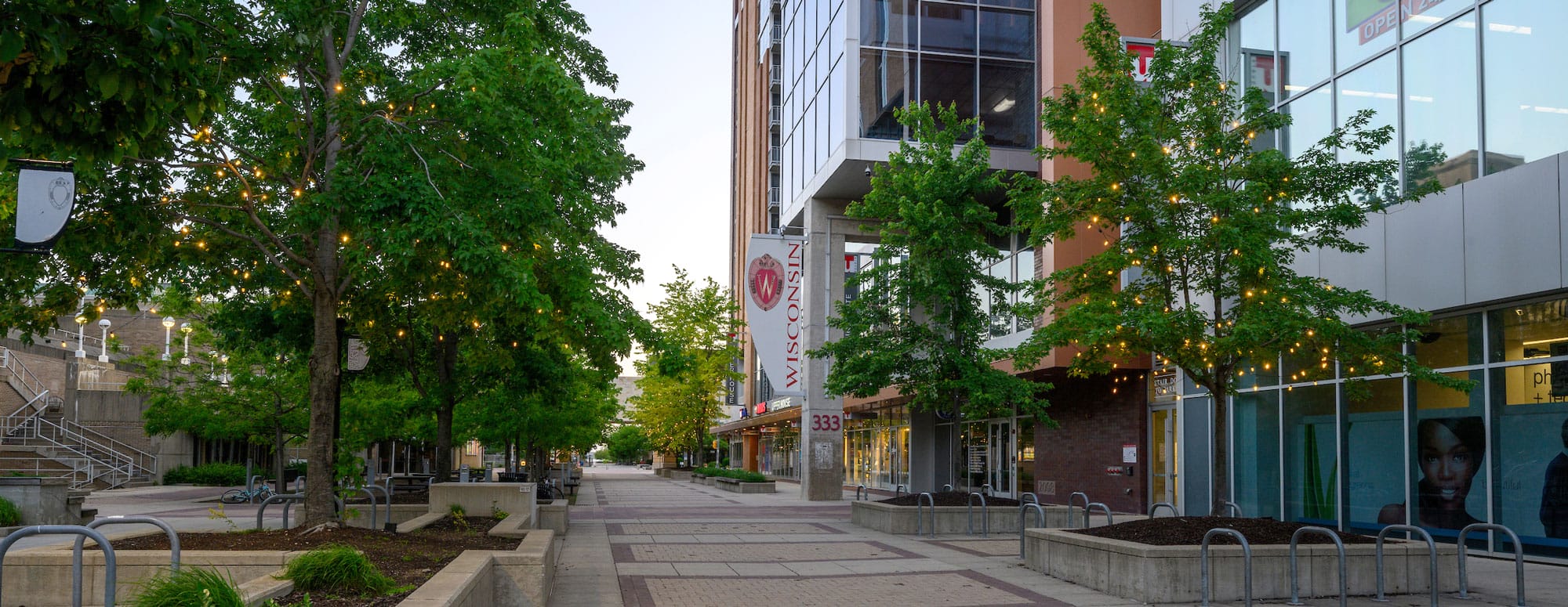 A view of Campus Mall street