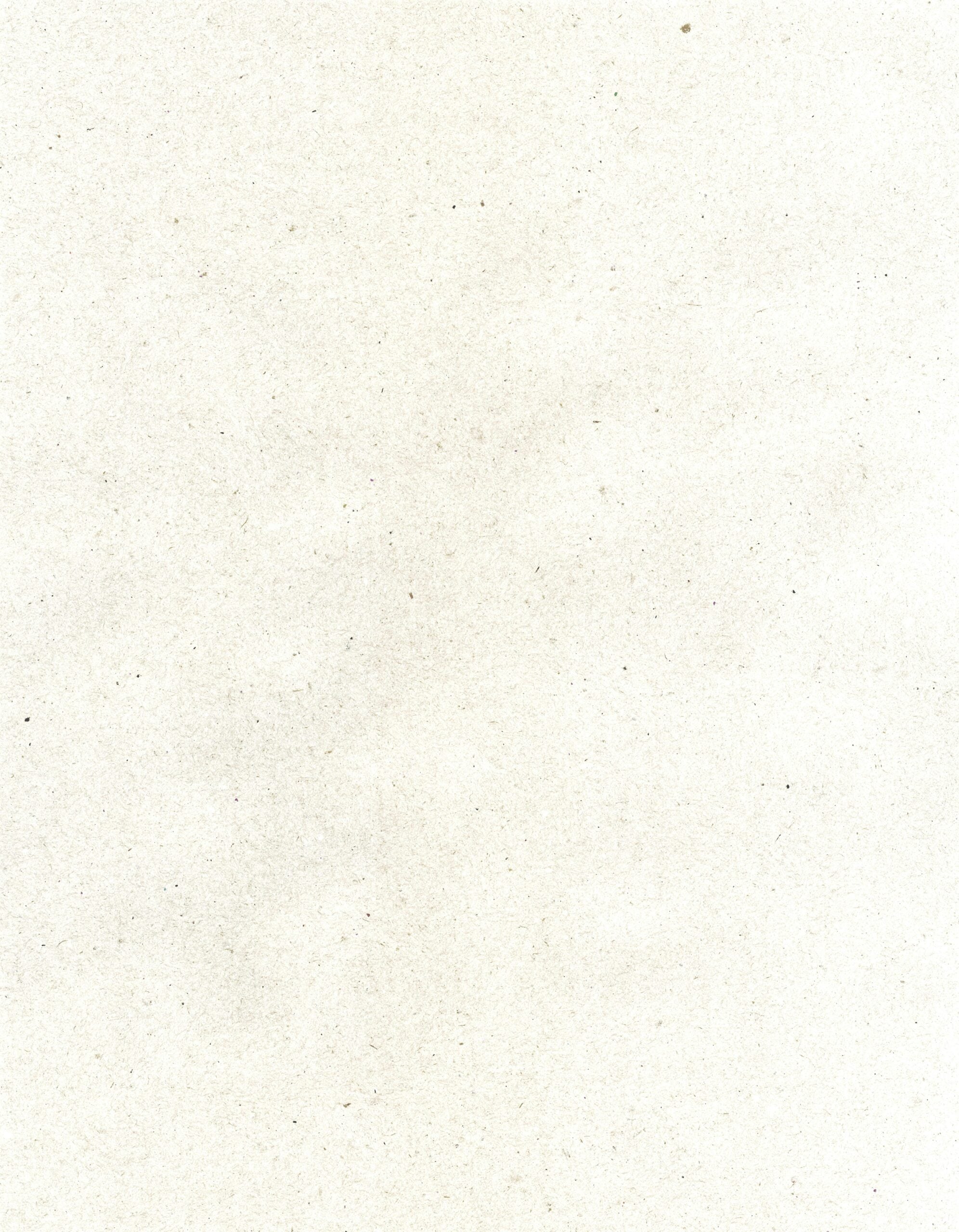 Light-colored textured paper with subtle speckles.