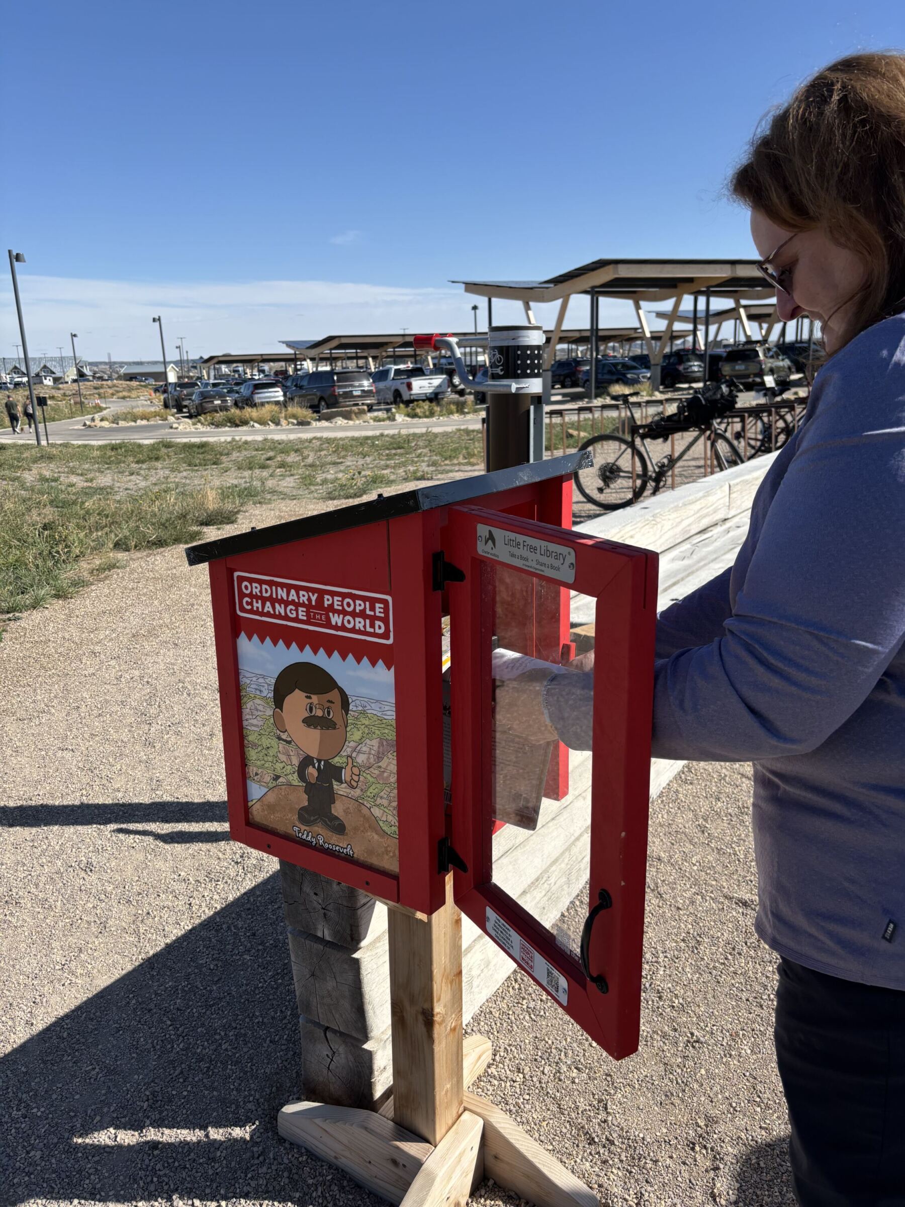 Person looking for a book in a free little library
